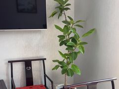 -浦江悦(陆家嘴保利广场店)