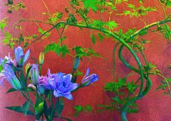 -栖木行空·女子定制美肤·芳香疗愈SPA