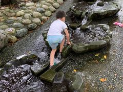 -成都市活水公园