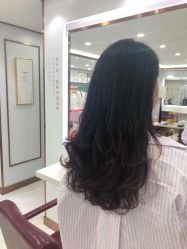 -镁连社·美联社