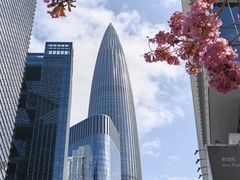 -深圳湾万象城(南山店)