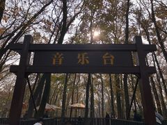 -音乐台