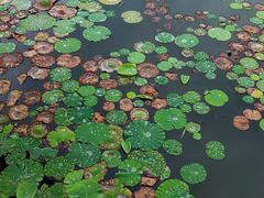 -济南国际园博园