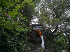 -懒鱼时光馆(沙坪坝店)