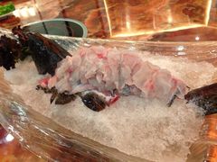 石斑鱼-棠宴酒店(汉口学院店)