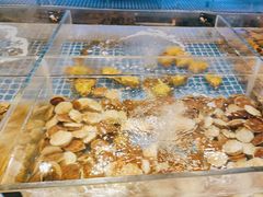-启博美食城(孟家店)