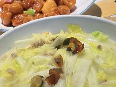 -鸽小宝(深圳首店)