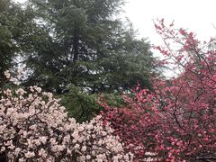 -白塘生态植物园