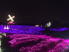 -大塘金香草谷