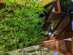 -初蓉丨遇见新川菜(亲贤街荣耀店)