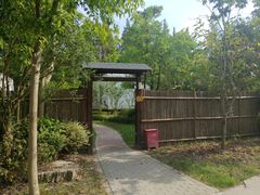 -上海海湾国家森林公园