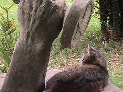 -晓港公园