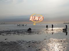 -东戴河风景区-止锚湾