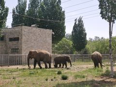 -石家庄市动物园