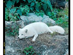 -杭州野生动物世界