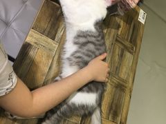 -小时光咖啡馆(开森度假森林店)