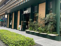 -gaga(金地威新中心店)