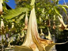 -天龙八部武侠城