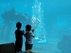 -海棠湾洲际-涛·海底餐厅·美人鱼·自助餐·海底隧道