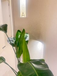 -美丽妈妈产后恢复中心(三林店)