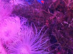 -多彩贵州城极地海洋世界