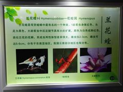 -上海昆虫博物馆