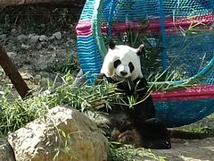 -宁波野生动物园