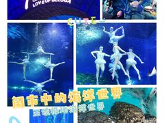-正佳极地海洋世界