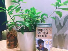 -素匠泰茶(三里屯SOHO工体奶茶店)