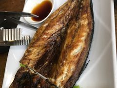 -向阳庄烧烤店(望京西园店)