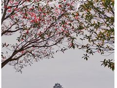 -眉山湿地公园(东坡区)