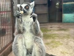 -昆明动物园