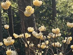 -衡山路(地铁站)