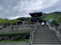 -大唐贡茶院