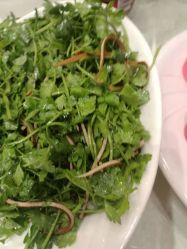 -鑫淼餐饮娱乐中心(江东街店)