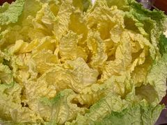 -竹叶涮肉坊(总店)