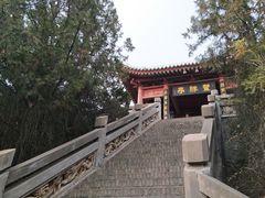 -茂陵博物馆