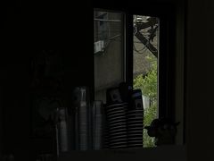 -nodcafe(M50创意园店)