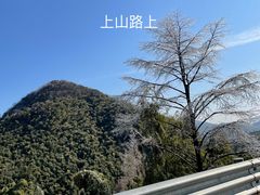-江南天池