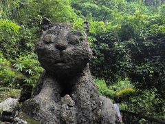 -三峡人家风景区