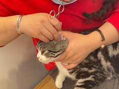 -PETKIT小佩宠物(古北店)