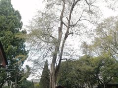 -桂林独秀峰王城景区