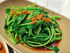 -MR鹅外