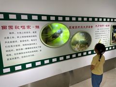 -上海昆虫博物馆