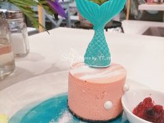 美人鱼-随心小姐