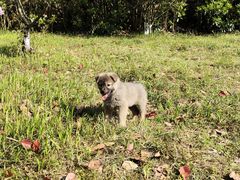 -白马涧龙池景区