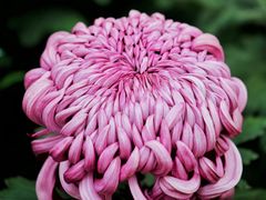 -共青国家森林公园-售票处