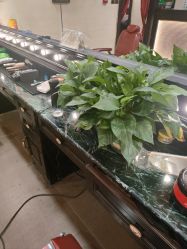 -东方先生国潮男士理发馆