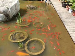 -聚缘堂·海鲜私房菜(松岭路店)