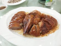 -姚林轩